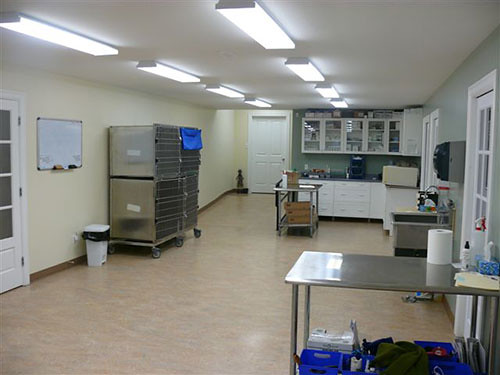 Baccalieu Trail Animal Hospital Treatment Room
