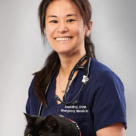 Adnan Rind Dvm Metropolitan Veterinary Hospital's Staff | Metropolitan Veterinary Hospital