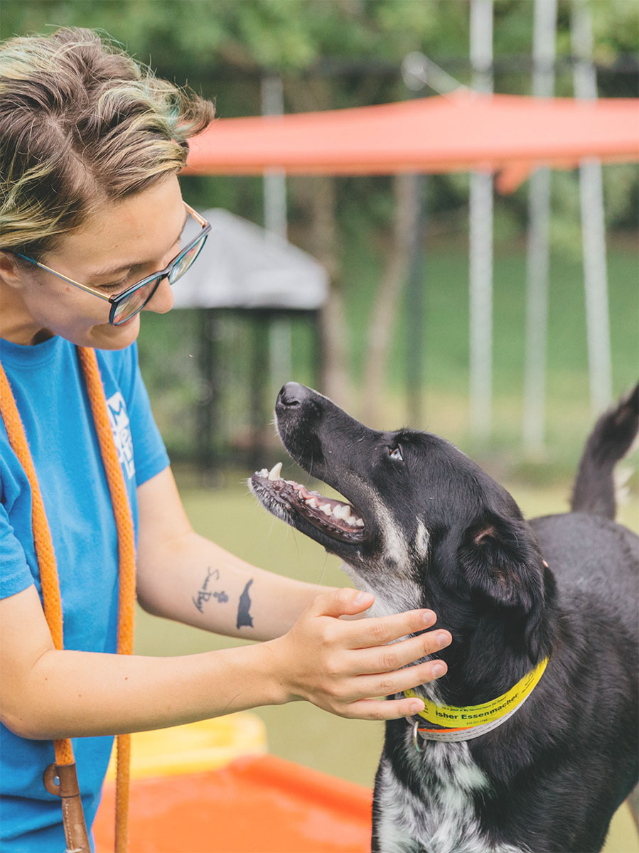 A daycare professional petting a dog