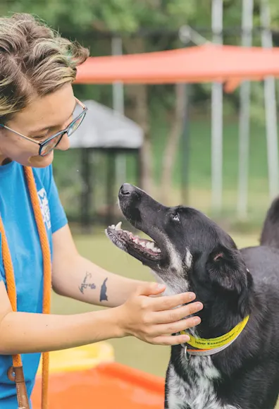 A daycare professional petting a dog A daycare professional petting a dog