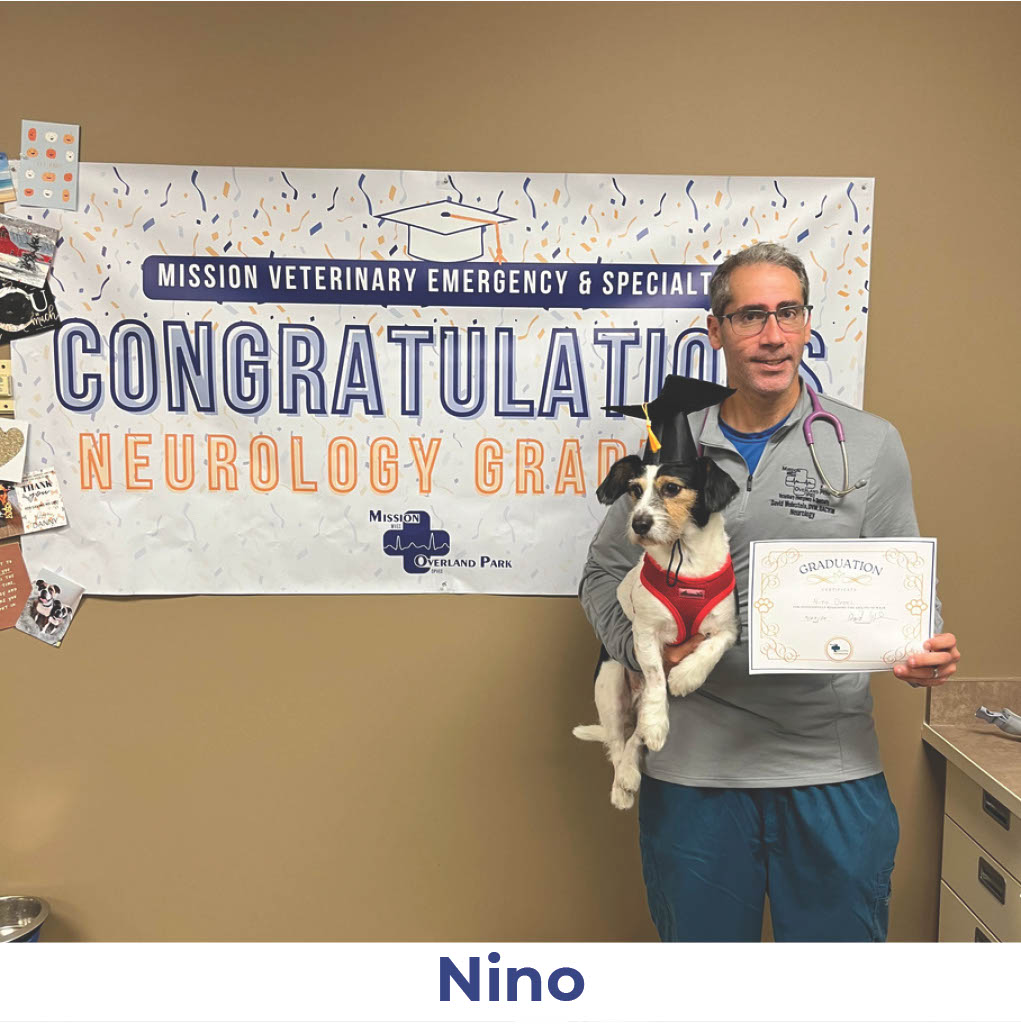 Nino the dog with Neurology Graduate Hall of Fame certificate