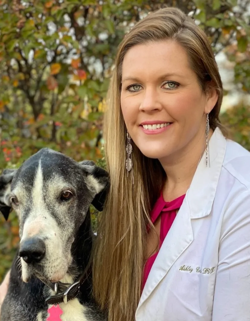 Dr. Ashley Collins aside large black and white dog