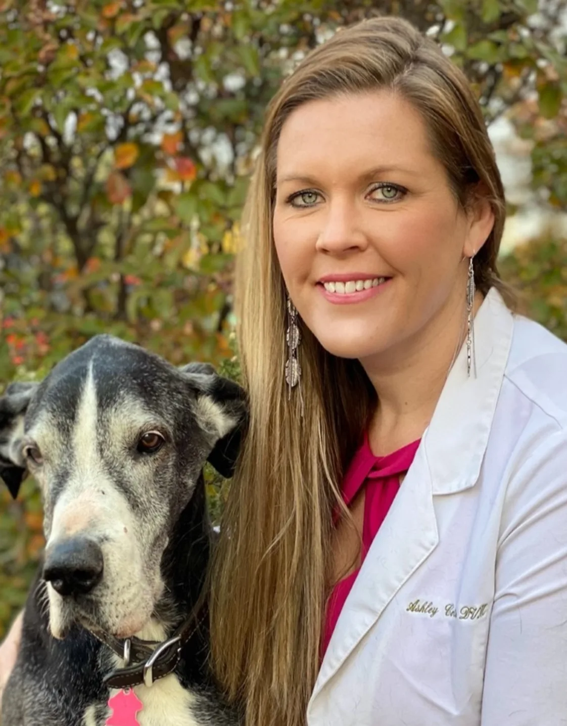 Dr. Ashley Collins aside large black and white dog Dr. Ashley Collins aside large black and white dog