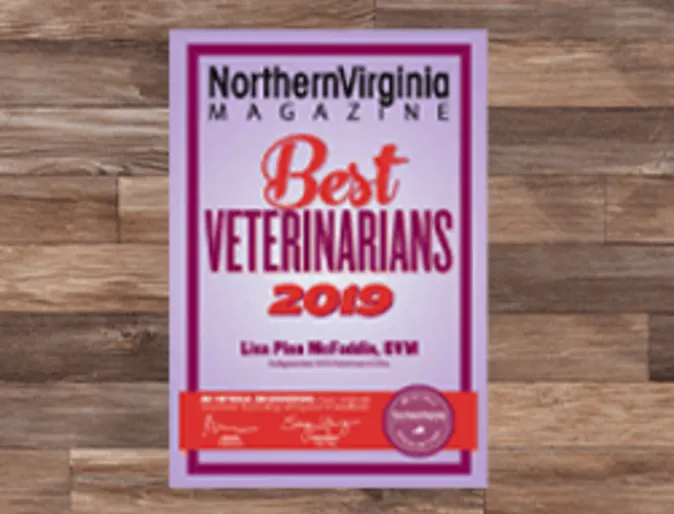 Best Veterinarians Award 2019