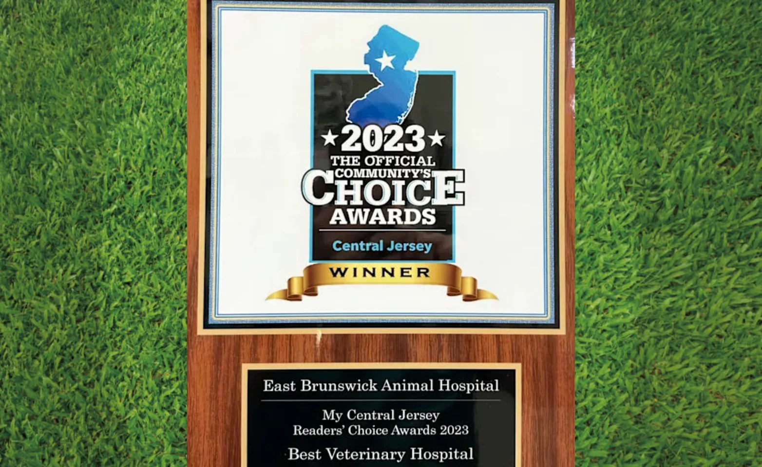 Two leashed dogs standing next to a street, overlaid on top is a picture of a 2023 The Official Community's Choice Award in New Jersey Two leashed dogs standing next to a street, overlaid on top is a picture of a 2023 The Official Community's Choice Award in New Jersey