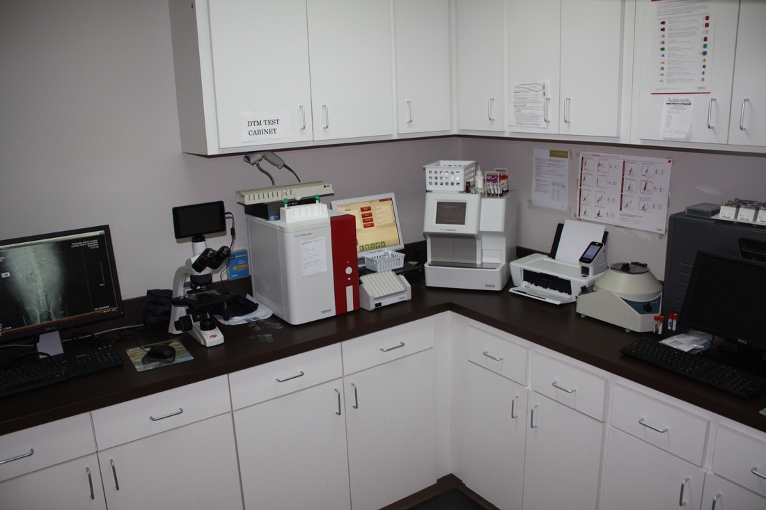 Westridge Animal Hospital Lab