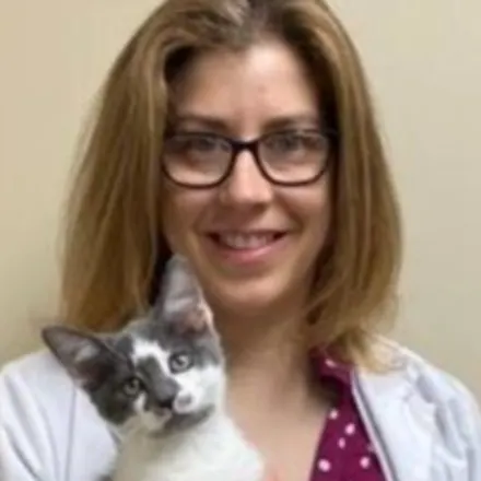 Dr. Rebecca Drapp holding a small grey and white cat