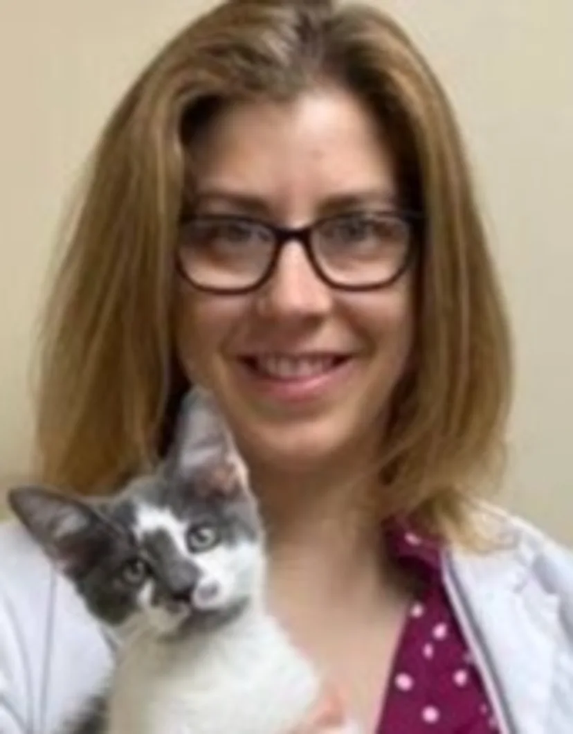 Dr. Rebecca Drapp holding a small grey and white cat