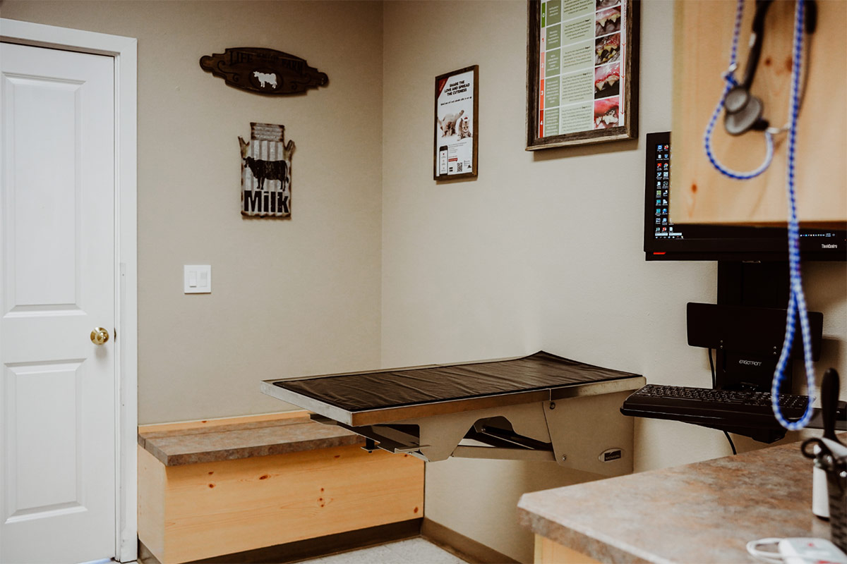 Prineville Veterinary Clinic's checkup room number 2 where there is a table to assess your pet