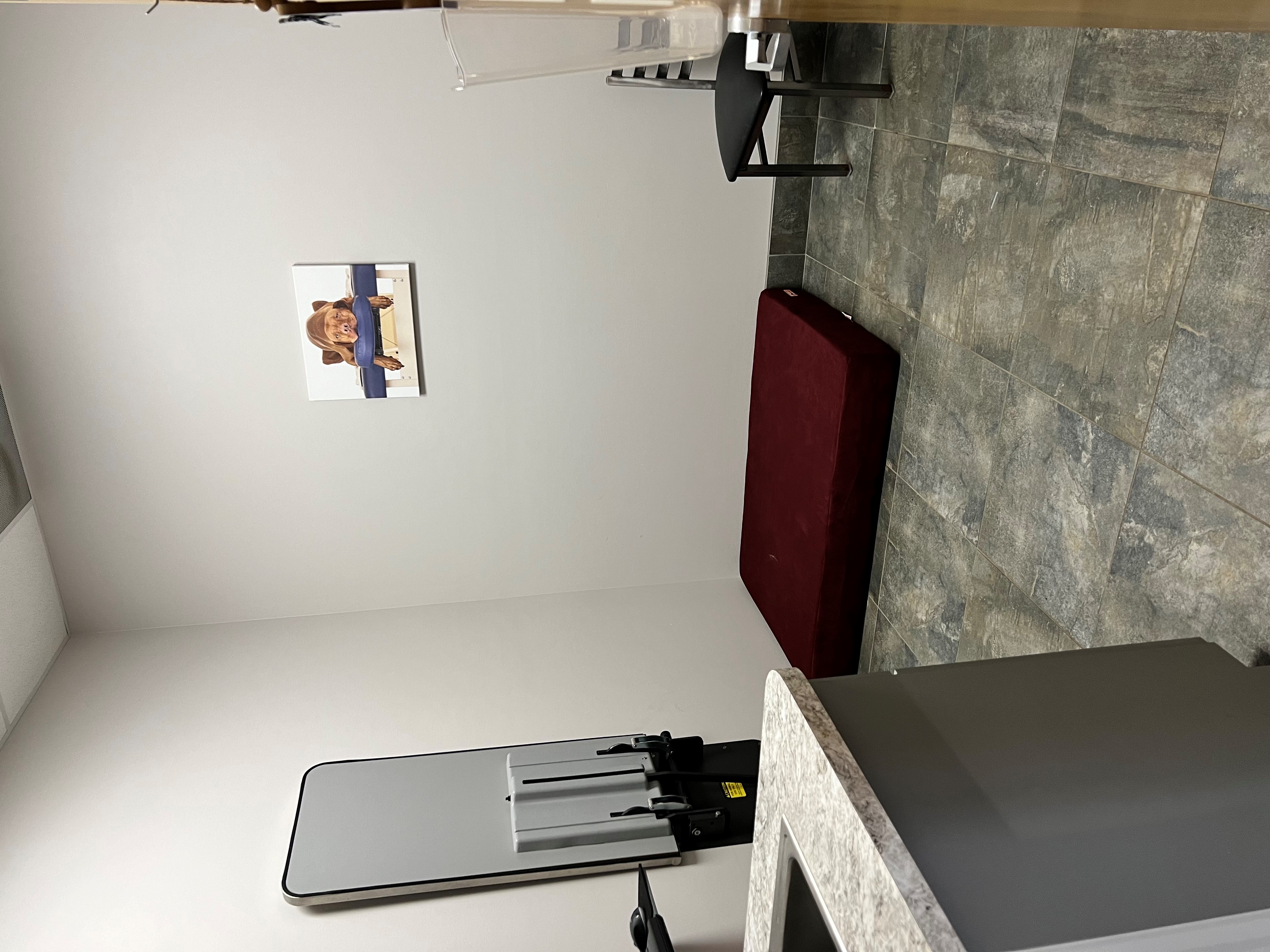 Rehab exam room