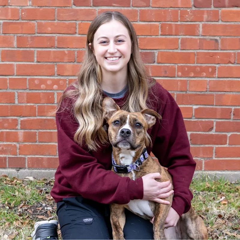 Morgan Hull Morgan Hull