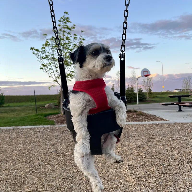 Dr. Jaskaran Purba Dr. Jaskaran Purba