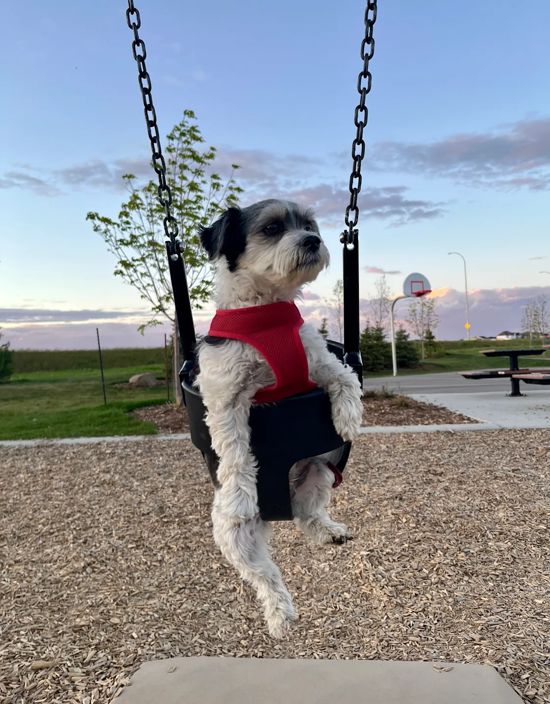 Dr. Jaskaran Purba Dr. Jaskaran Purba