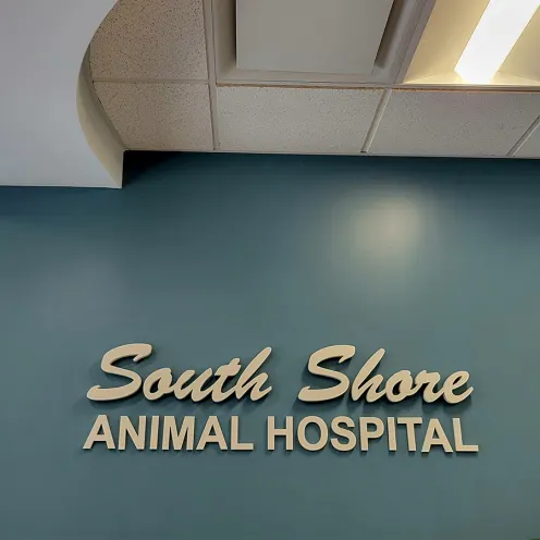 Interior Sign at South Shore Animal Hospital
