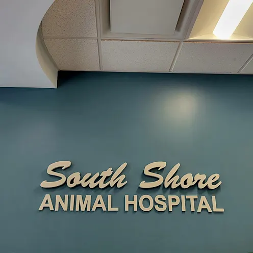 Interior Sign at South Shore Animal Hospital Interior Sign at South Shore Animal Hospital