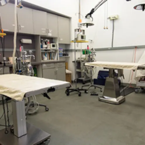 Surgery Room Surgery Room