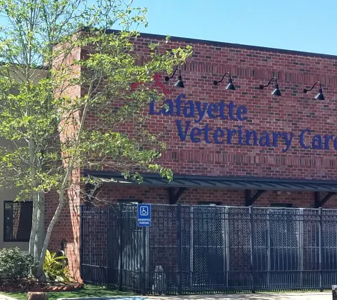 Lafayette Veterinary Care Center's kennels, outside