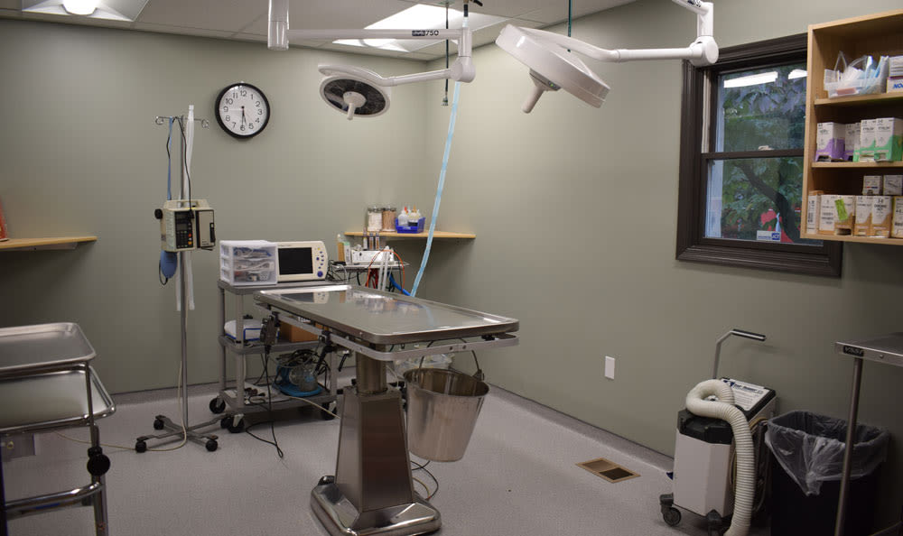 Larkin Veterinary Center Surgery