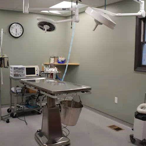 Larkin Veterinary Center Surgery Larkin Veterinary Center Surgery