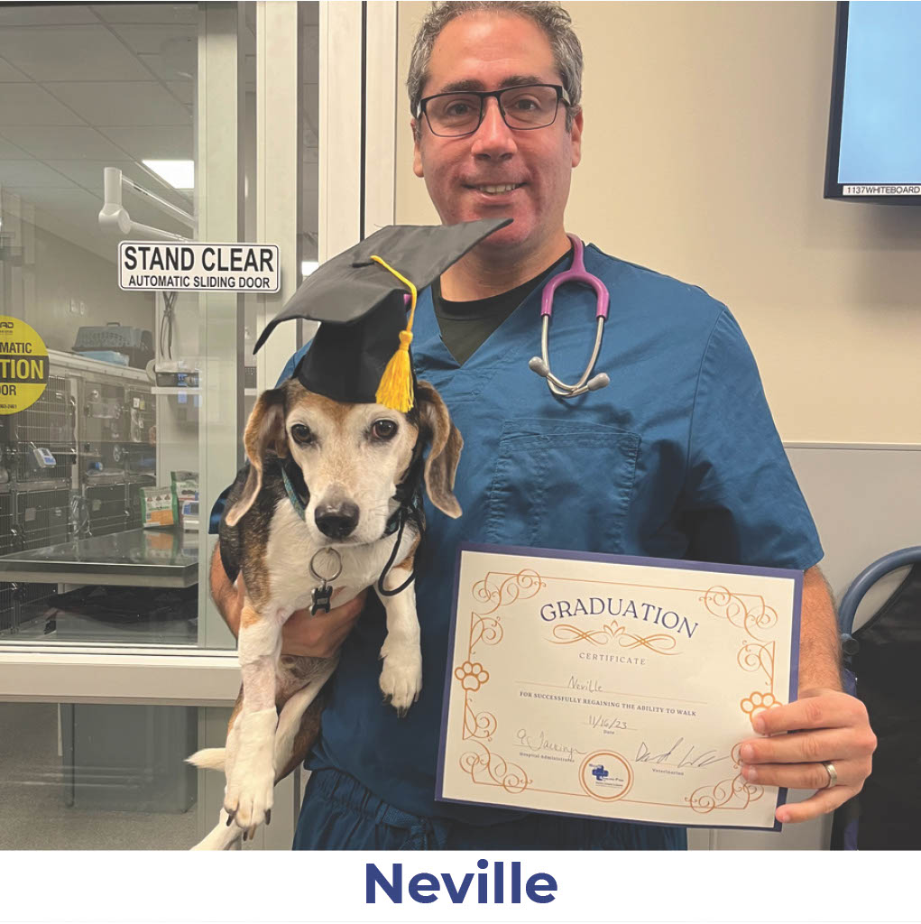 Neville the dog with Neurology Graduate Hall of Fame certificate