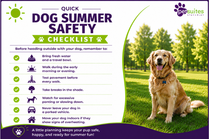 Dog Heat Summer Safety Checklist - Heatstroke prevention and dog care 