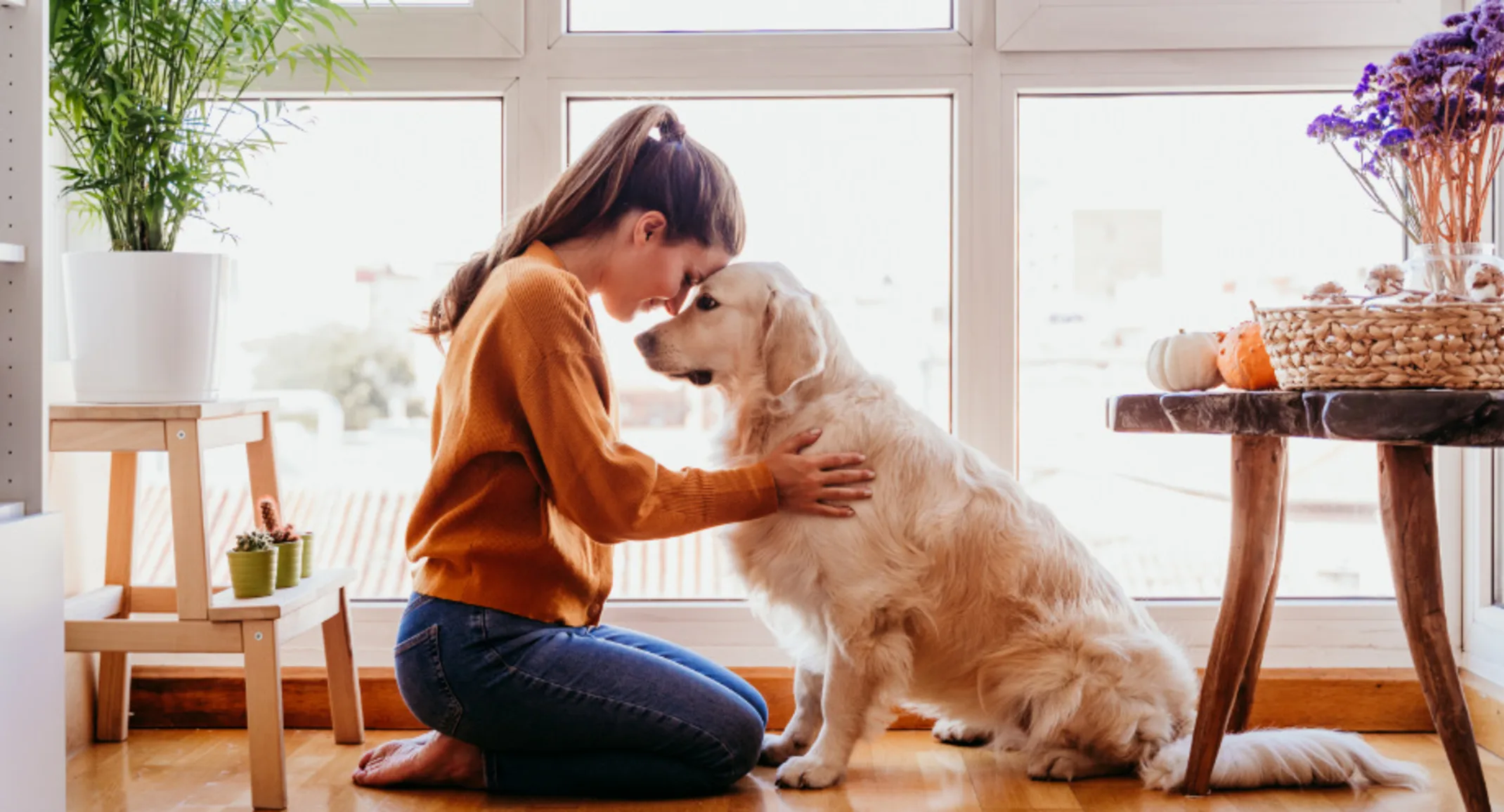 Woman Touching Foreheads with Dog at Home