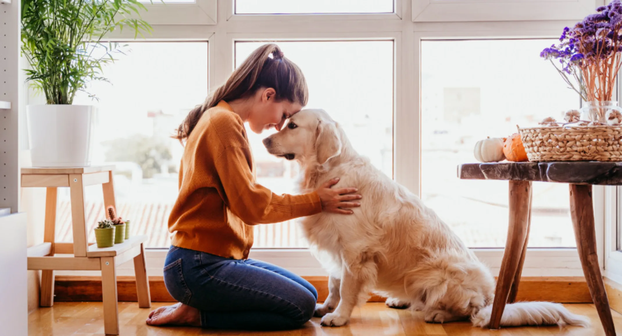 Woman Touching Foreheads with Dog at Home Woman Touching Foreheads with Dog at Home