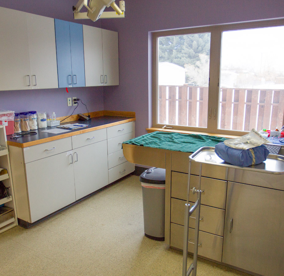 Purple clinical room for examinations