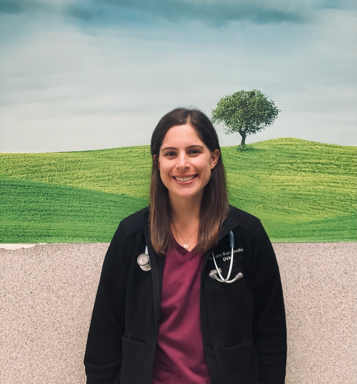 Dr. Barichello Forest Glen Animal Hospital