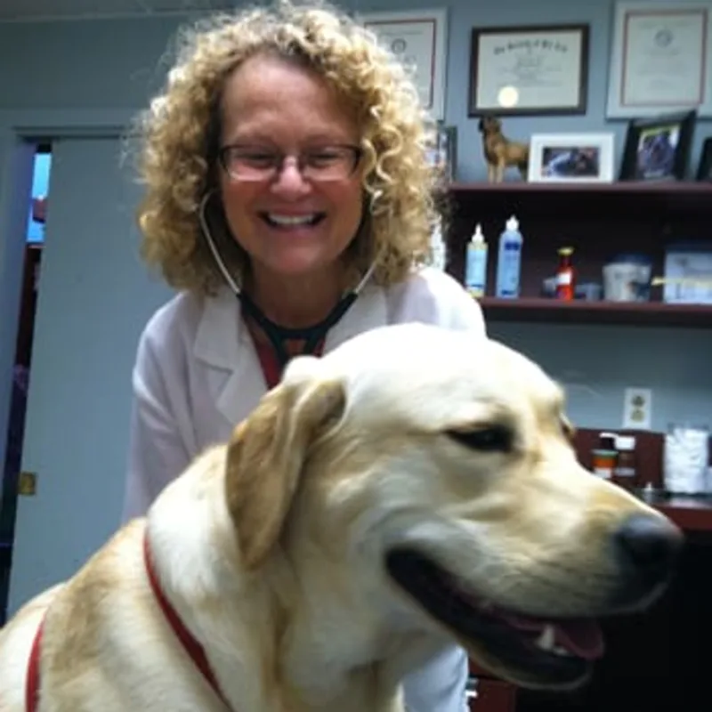 Robin Lovelock Robin Lovelock