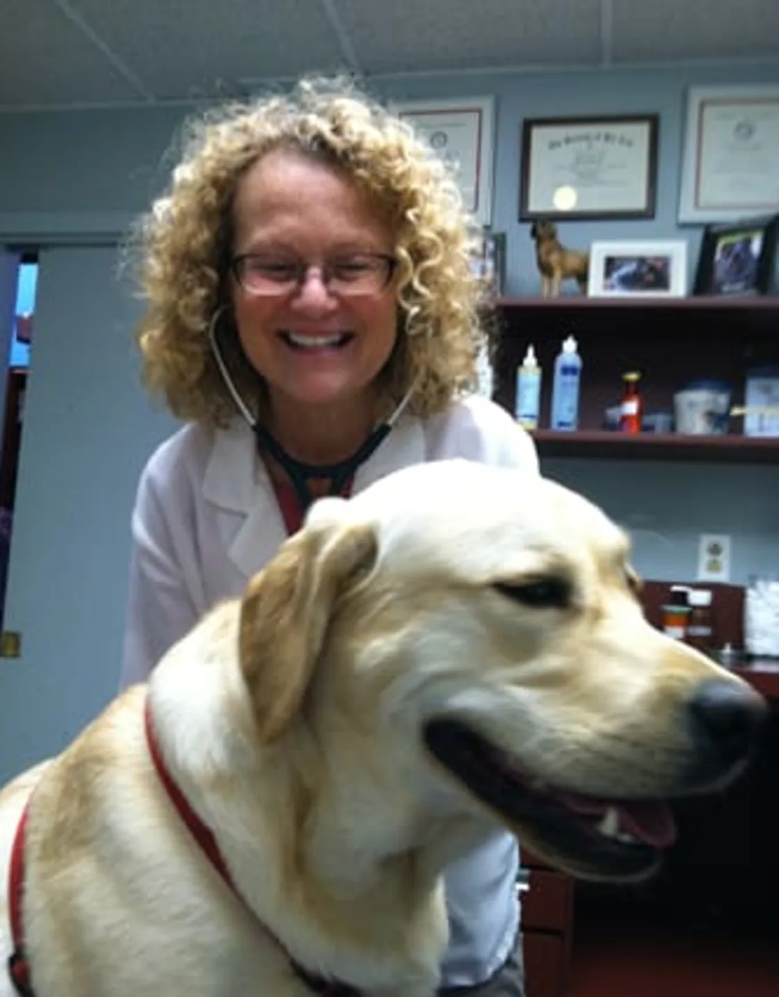 Robin Lovelock Robin Lovelock