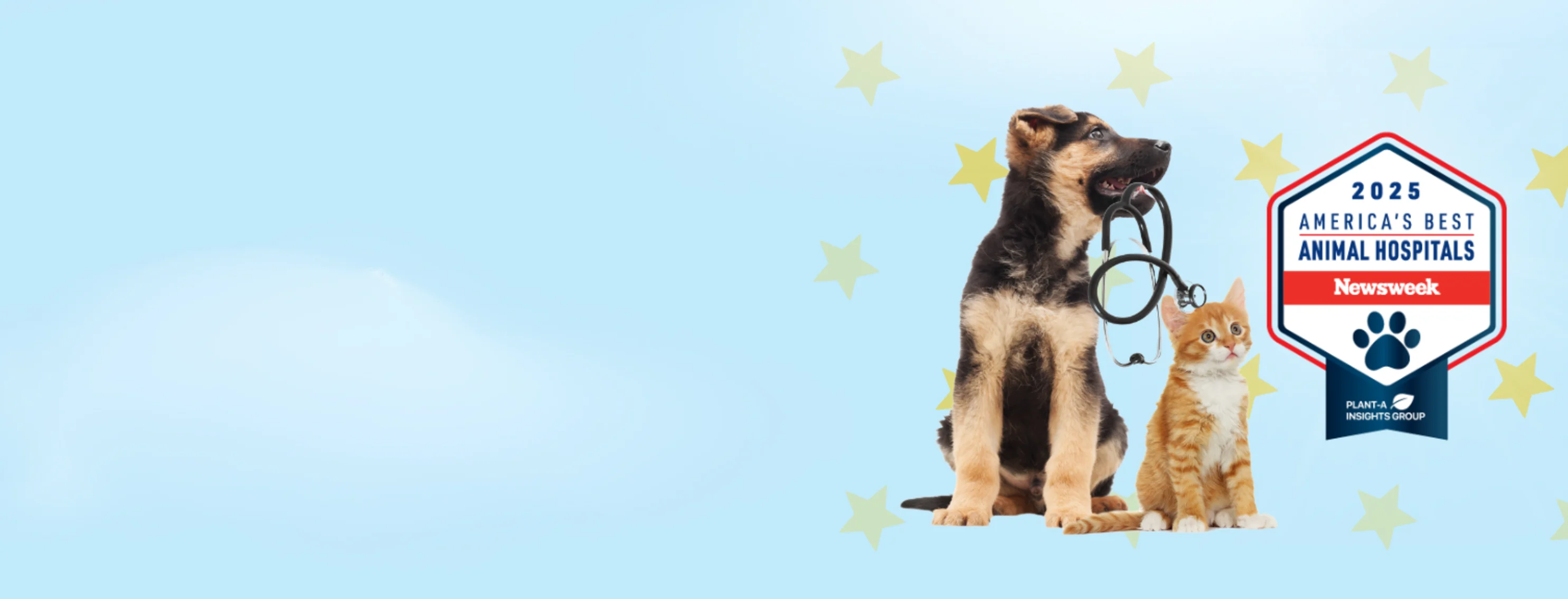 Newsweek's Best Animal Hospitals 2025 Newsweek's Best Animal Hospitals 2025