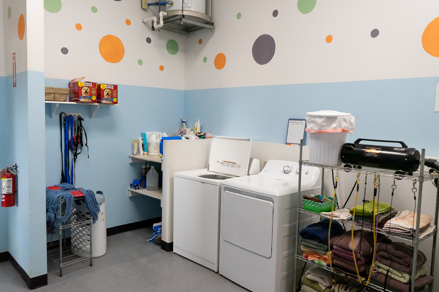 Grooming area at Puppy Playground