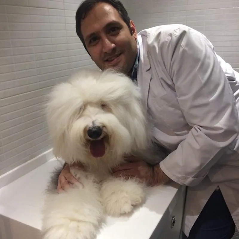 Dr. Hamed Zamankhan Dr. Hamed Zamankhan