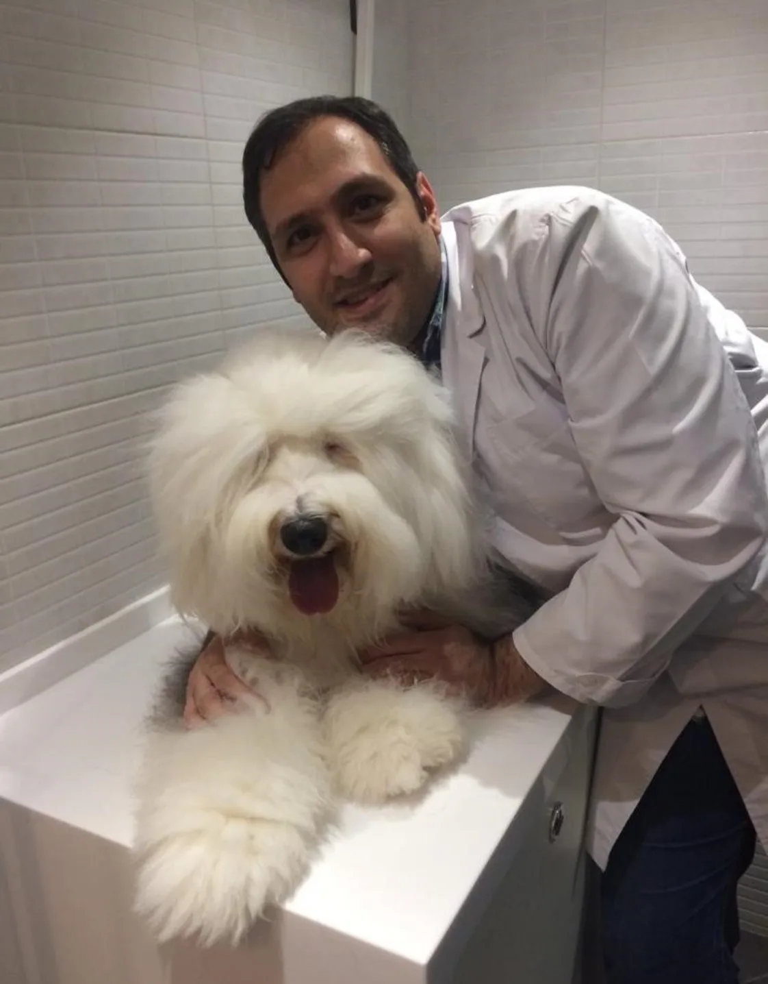Dr. Hamed Zamankhan Dr. Hamed Zamankhan