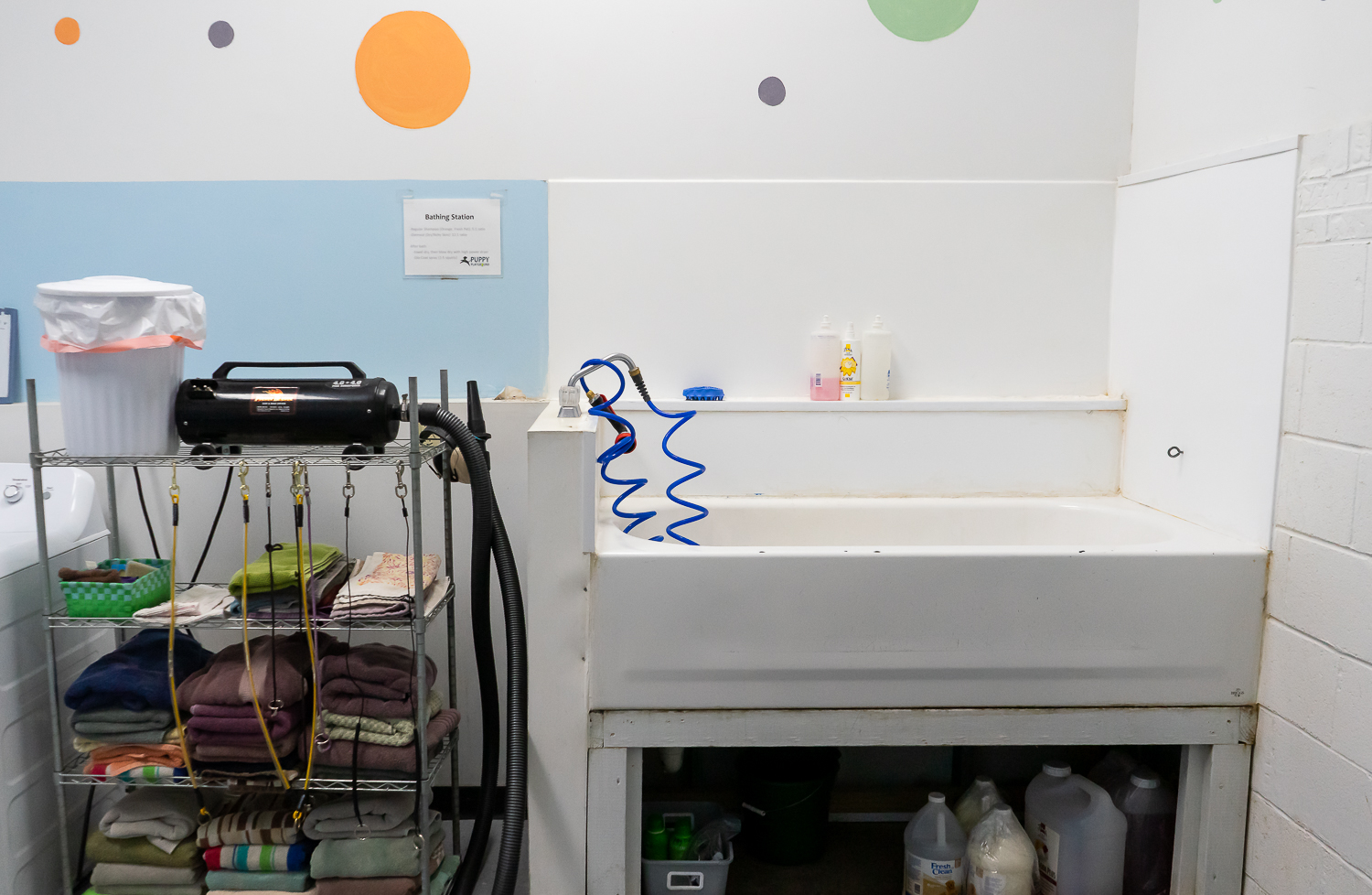 Bathing area at Puppy Playground