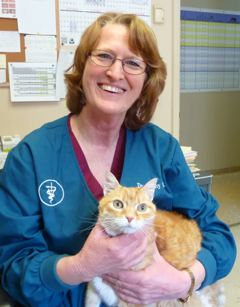 Cathy Glahn  holding an orange tabby cat