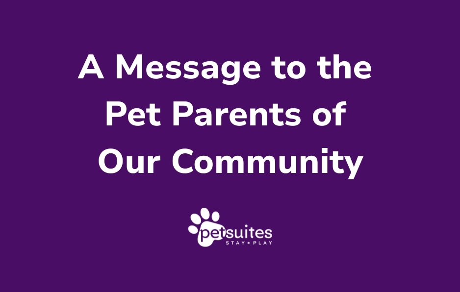 PetSuites A Message to the Pet Parents