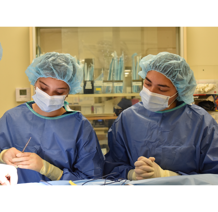 Two Staff Members Doing Surgery