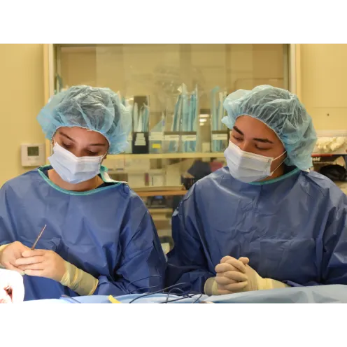 Two Staff Members Doing Surgery