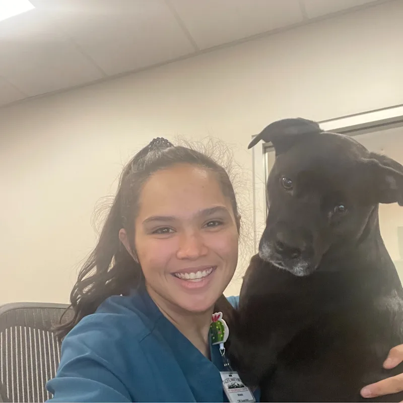 Mihaela Keller Mihaela Keller