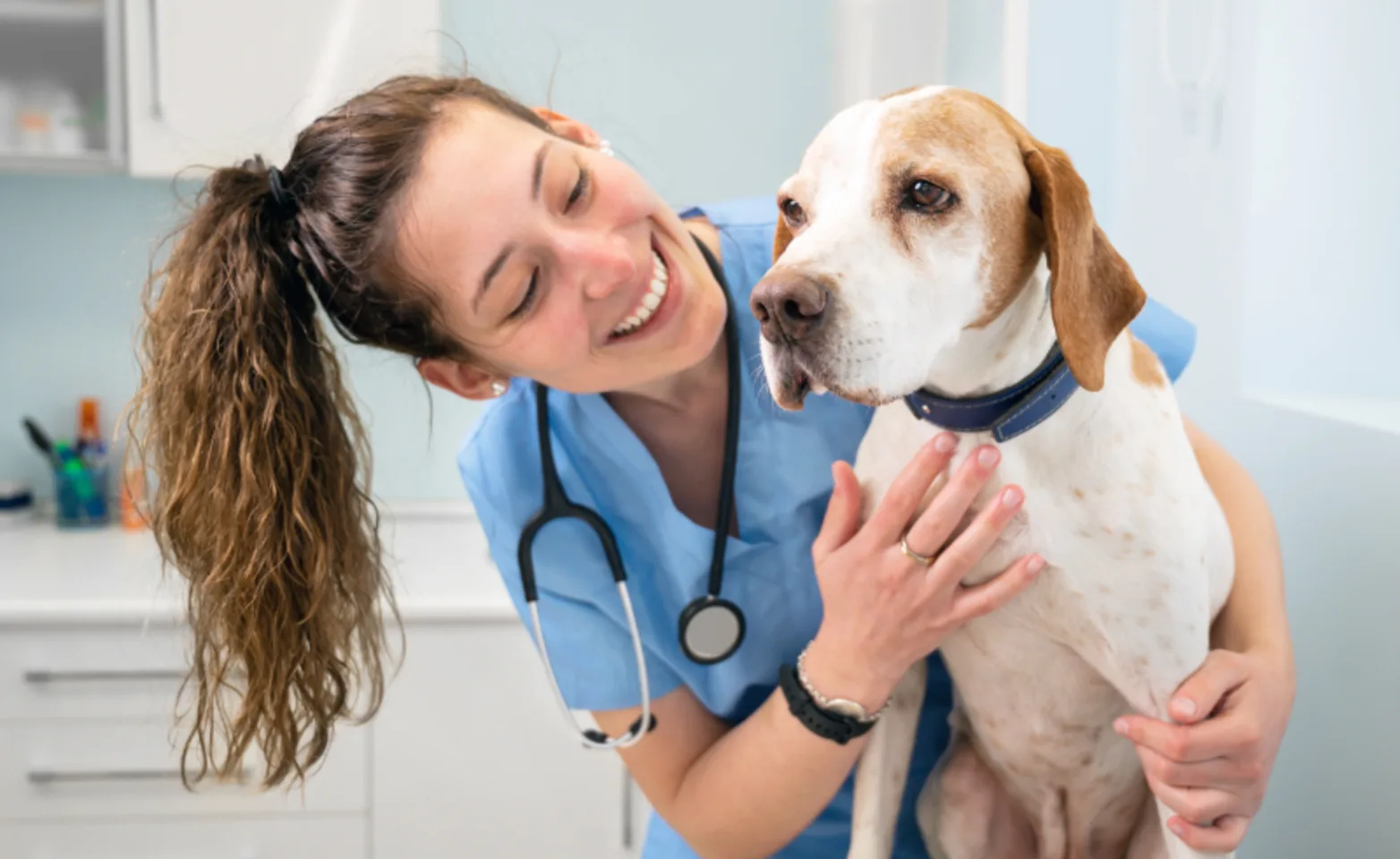 Veterinarian Smiling with Dog Veterinarian Smiling with Dog