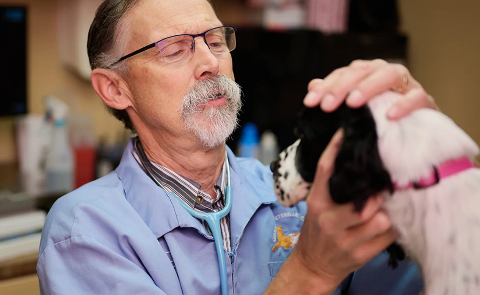 Dr. Cross examining a dog Dr. Cross examining a dog