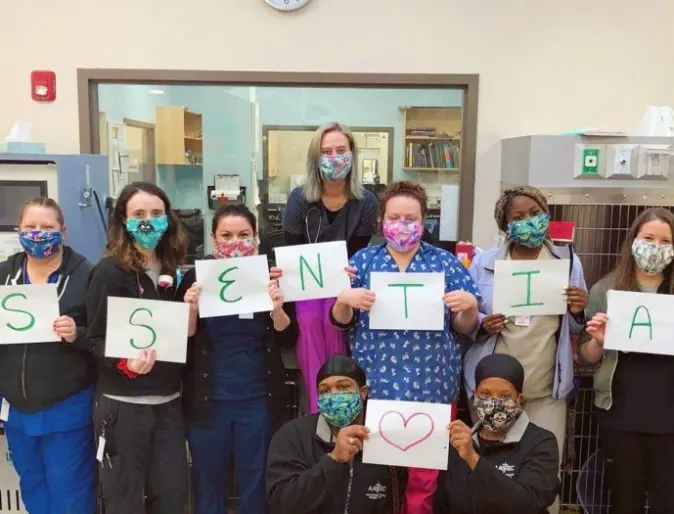 A group of veterinary technicians pose for a photo holdings signs that spell out essential 