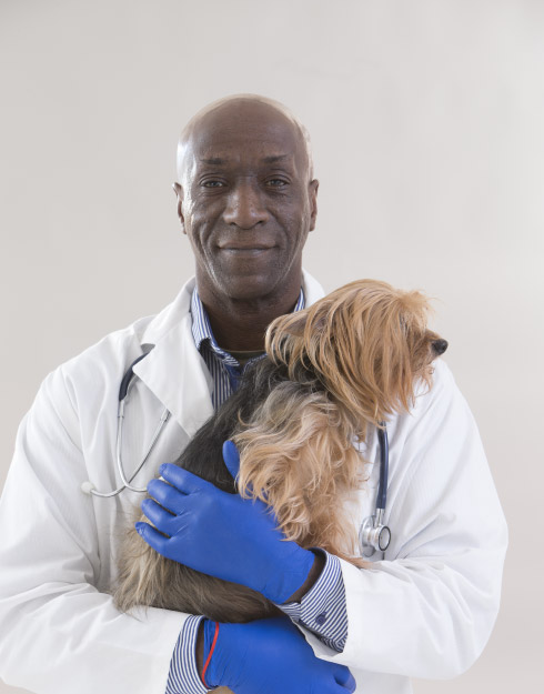 Dr. James Bond at Big Cow Animal Hospital
