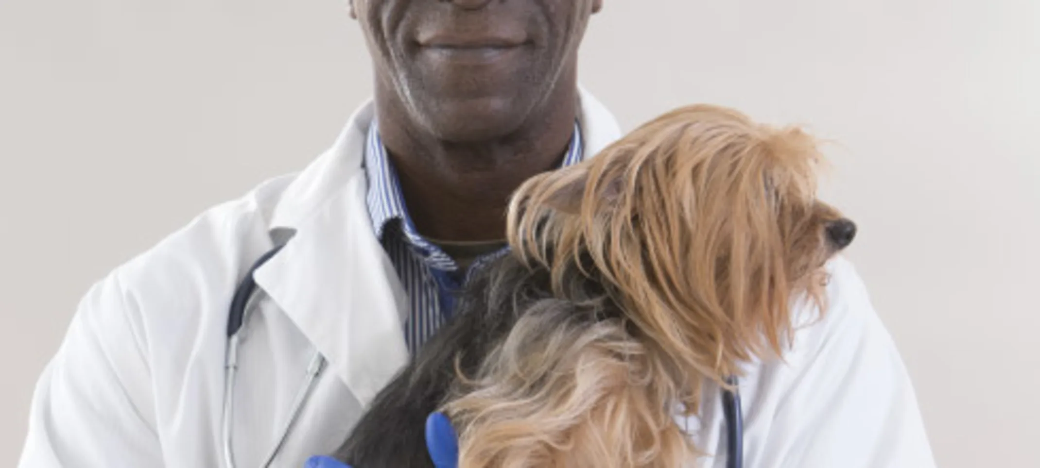 Dr. James Bond at Big Cow Animal Hospital Dr. James Bond at Big Cow Animal Hospital