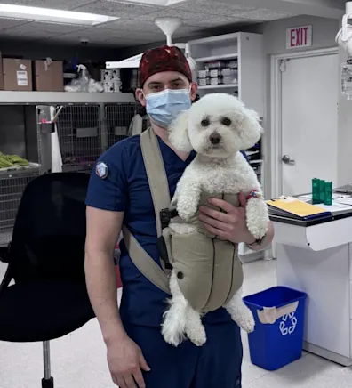 Brenton V. Brenton V.