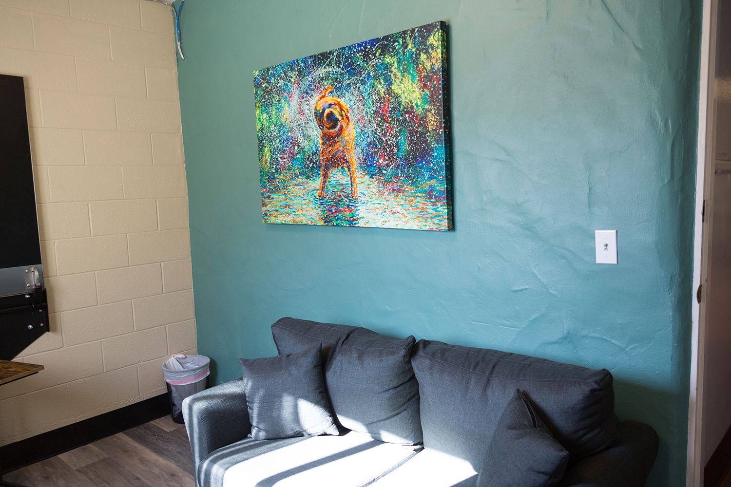 Comfort Room (pet euth)