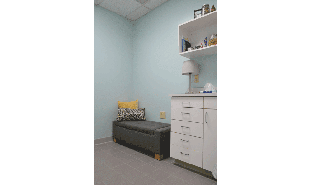 examination room at Hidden Valley Animal Hospital