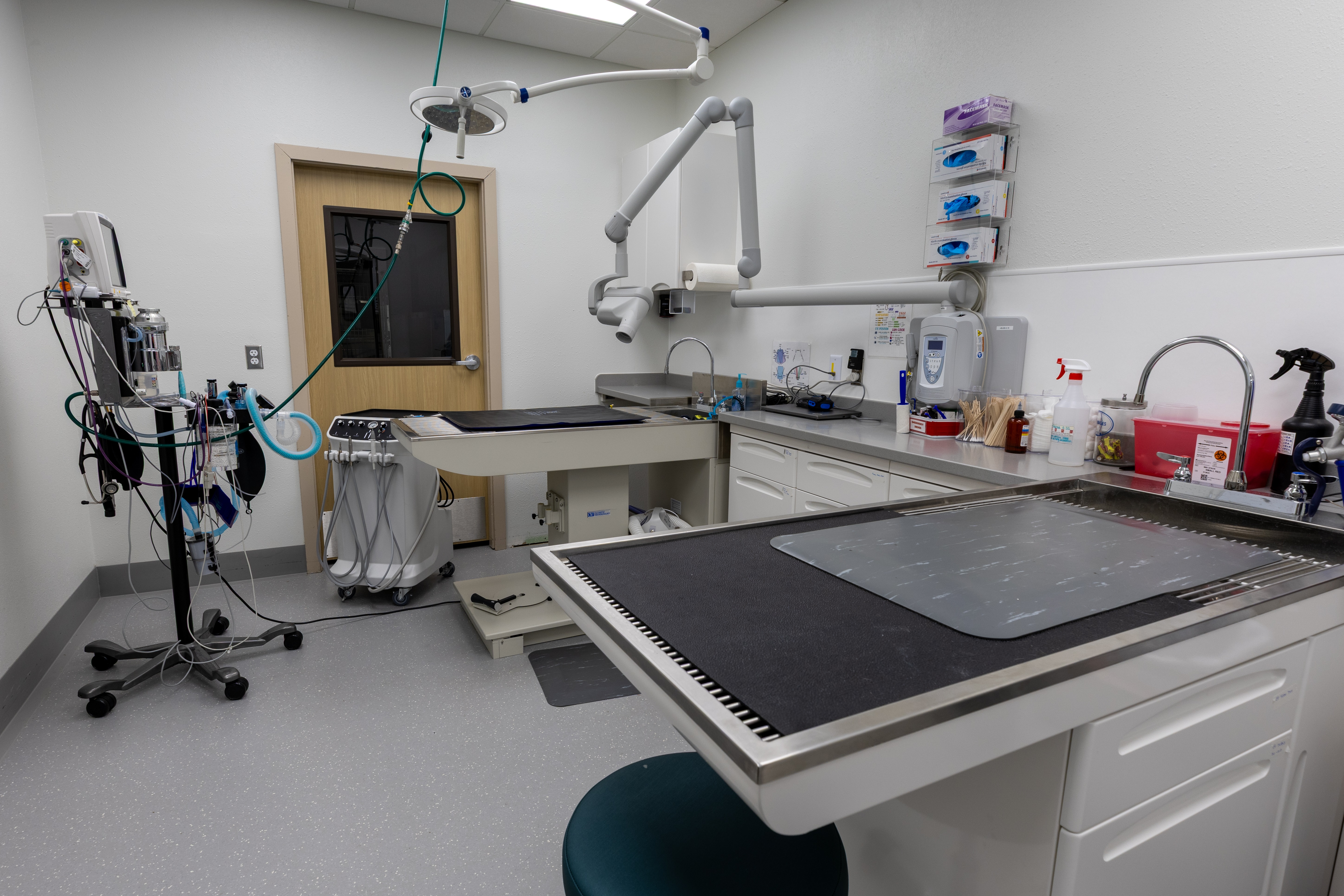 Dental Suite